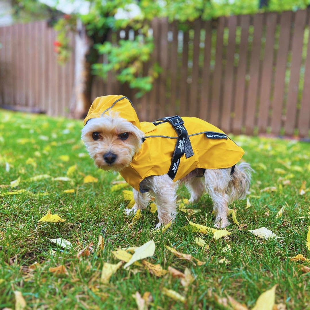 Veste de pluie Tofino 🍁