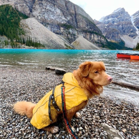 Veste de pluie Tofino 🍁
