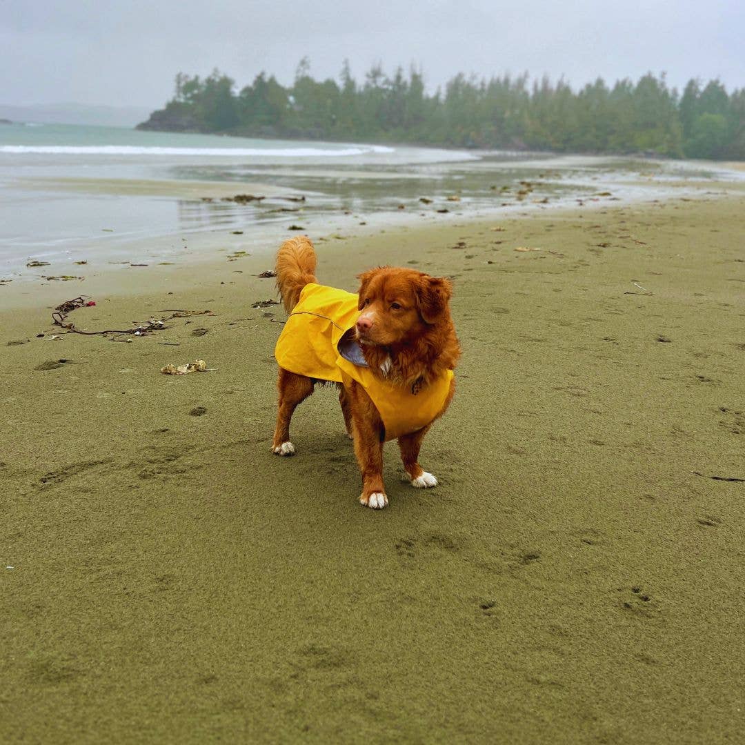 Veste de pluie Tofino 🍁