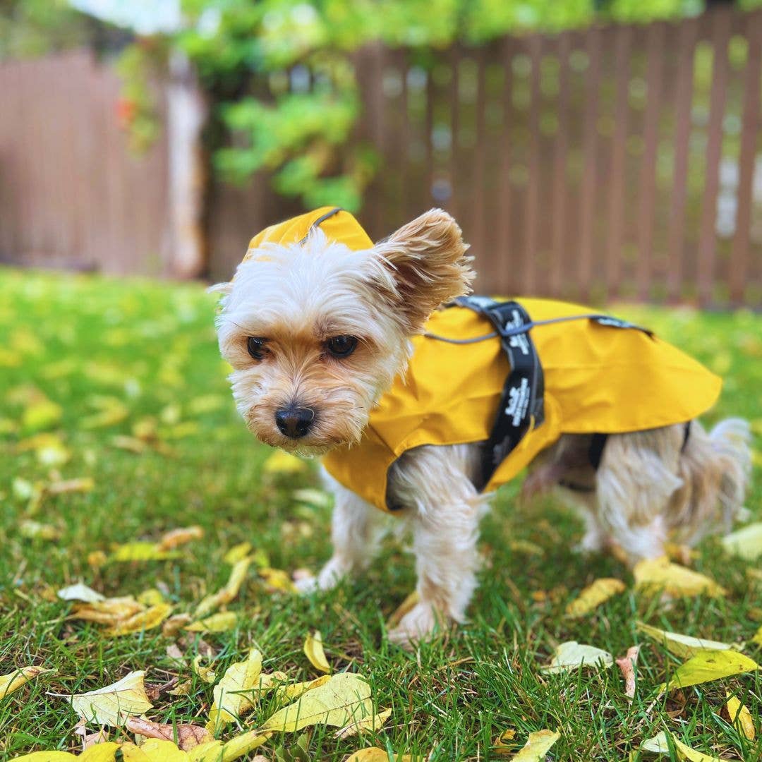 Veste de pluie Tofino 🍁