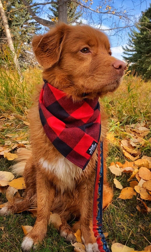 Bandana en flanelle 🍁
