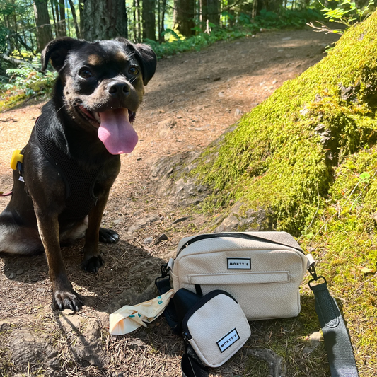 Sac à bandoulière pour chien – pochette à friandises & distributeur intégré 🍁