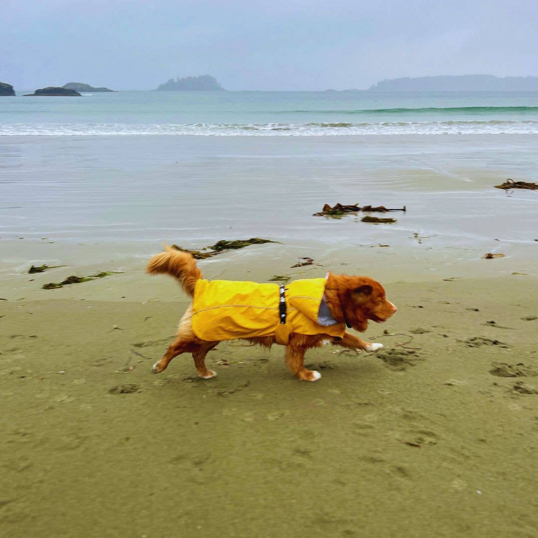 Veste de pluie Tofino 🍁