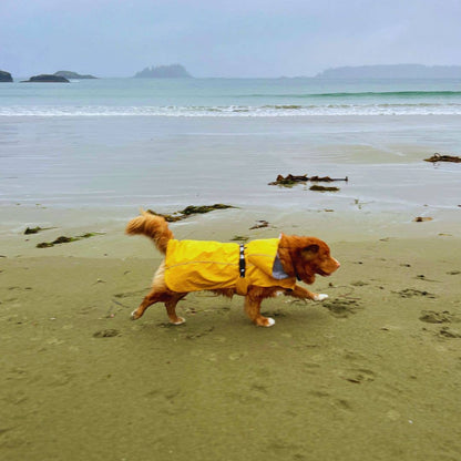 Veste de pluie Tofino 🍁