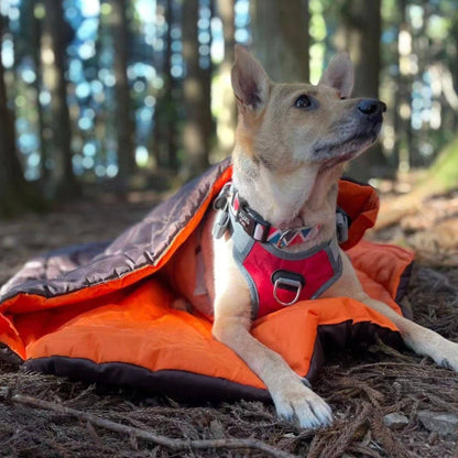 Sac de couchage compact imperméable pour chien – Alpha Pak