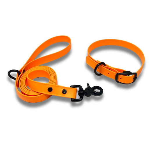 Duo collier et laisse en Biothane – ensemble durable et résistant 🍁