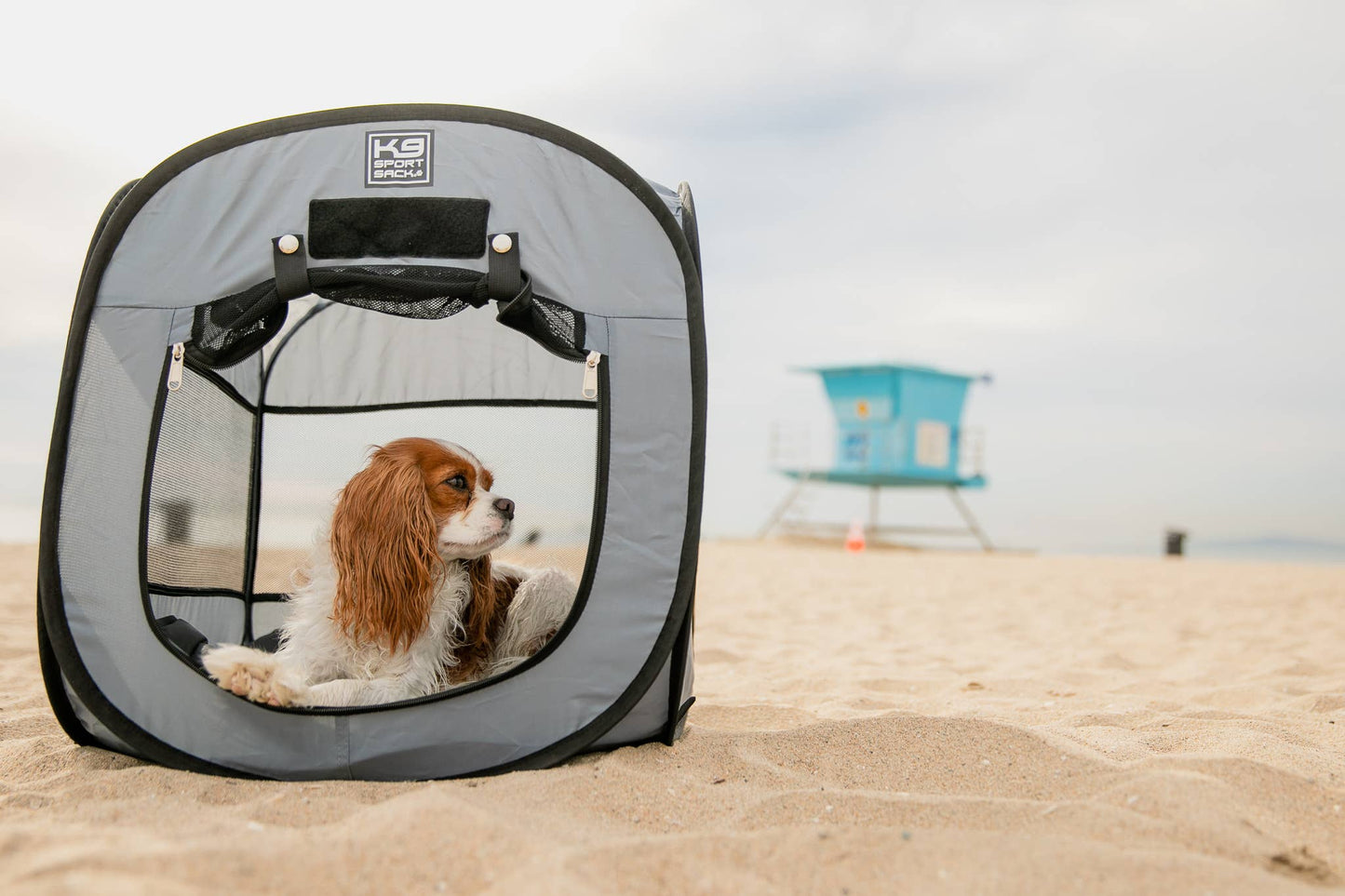 Tente pour chien pop-up K9 Kennel