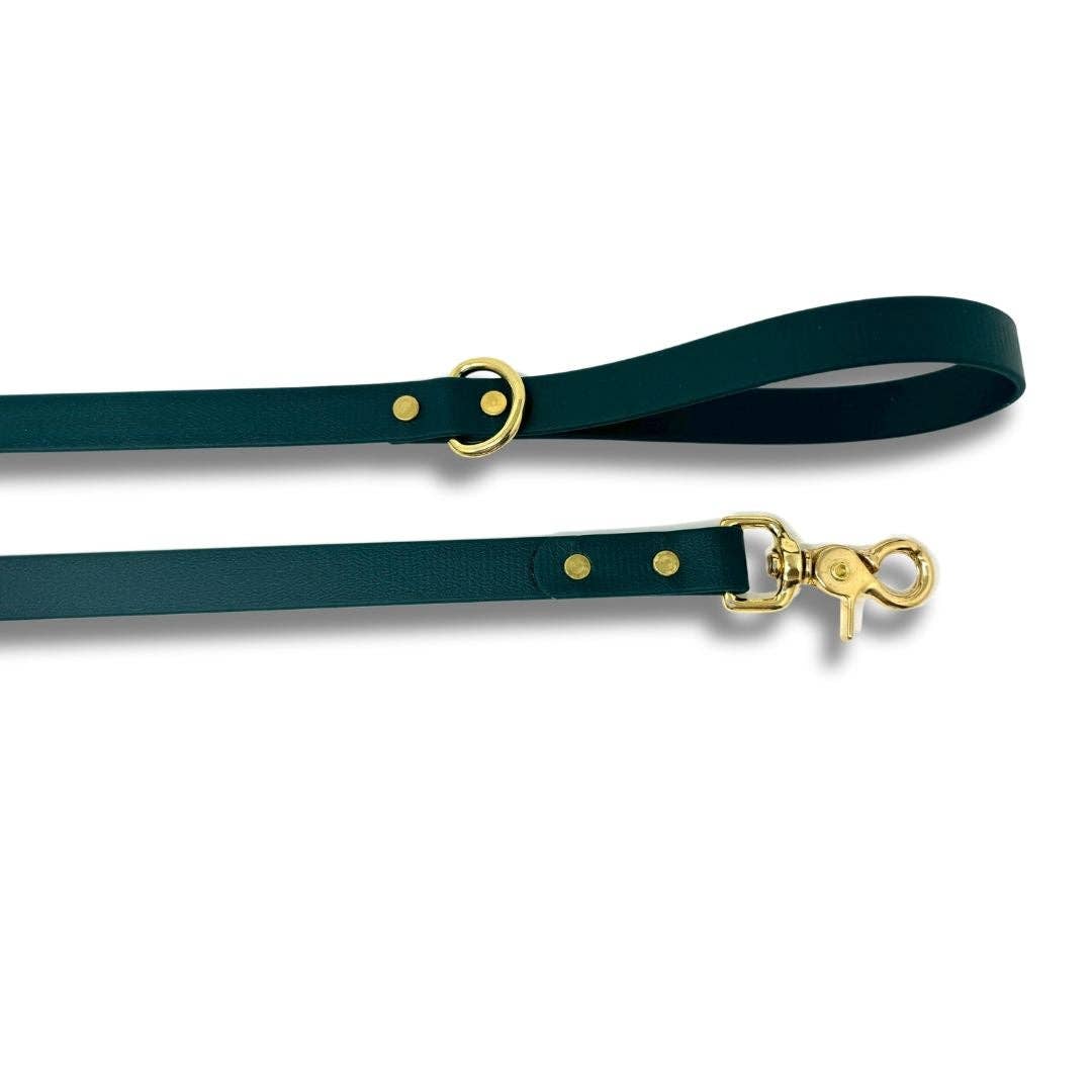 Duo collier et laisse en Biothane – ensemble durable et résistant 🍁