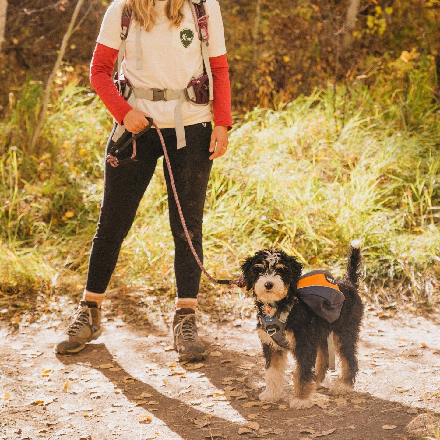 Sac à dos harnais pour chien Adventurer
