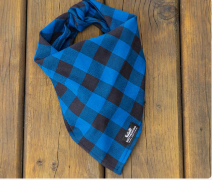 Bandana en flanelle 🍁