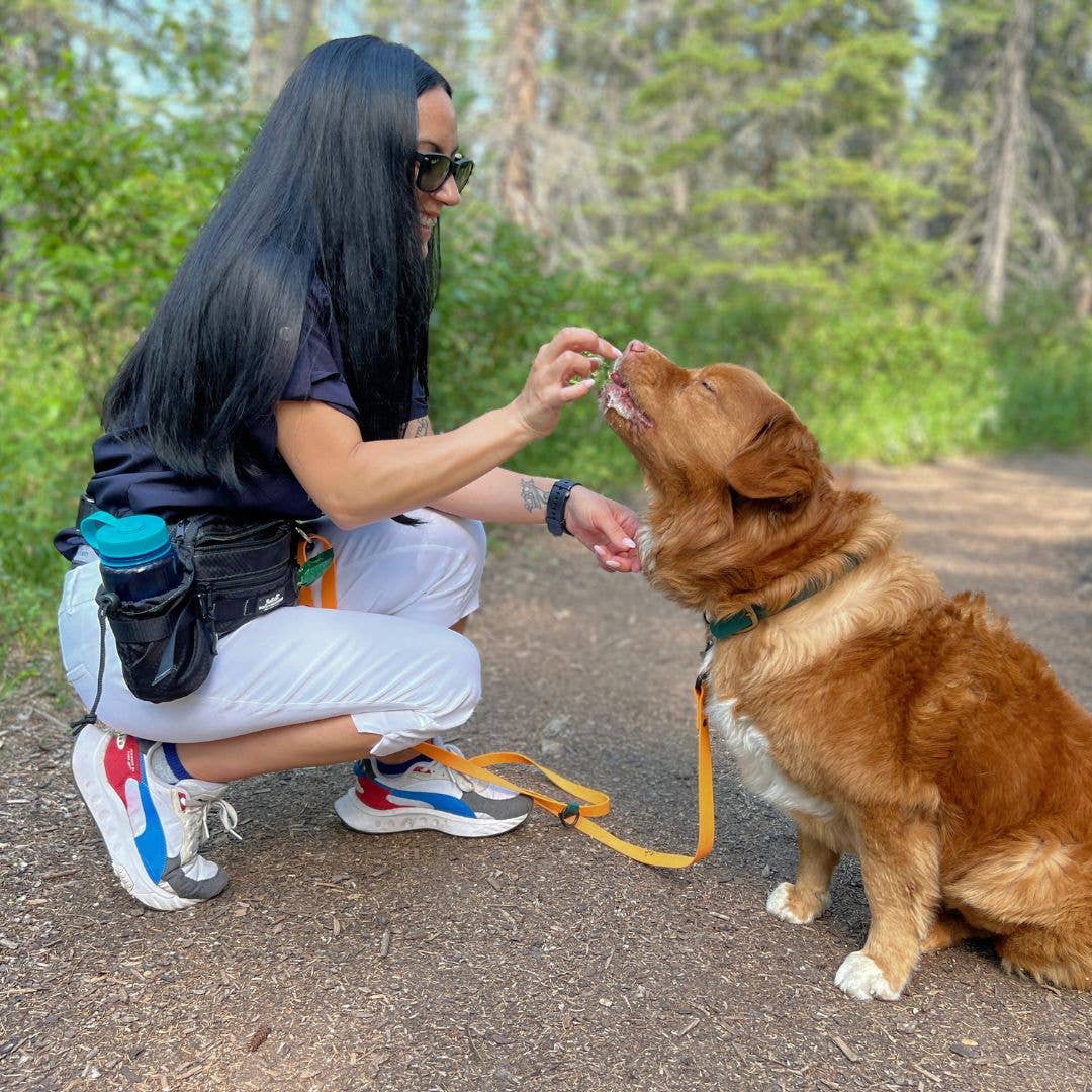 Sac banane utilitaire Aspen – promenade & aventure avec chien 🍁