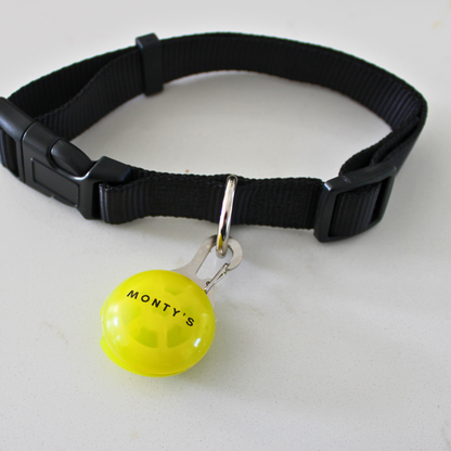 Collier/harnais lumineux pour chien rechargeable par USB 🍁