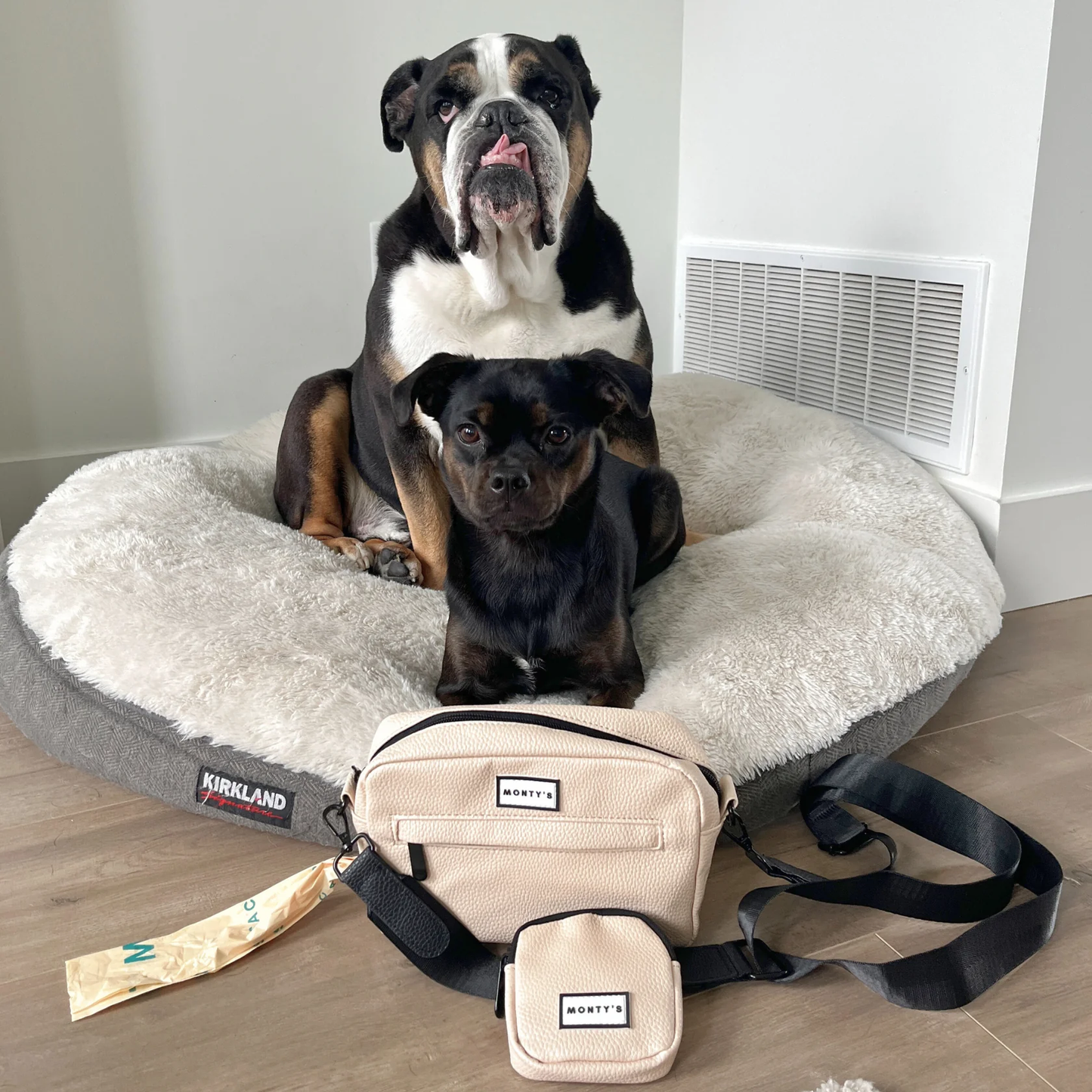 Sac à bandoulière pour chien – pochette à friandises & distributeur intégré 🍁
