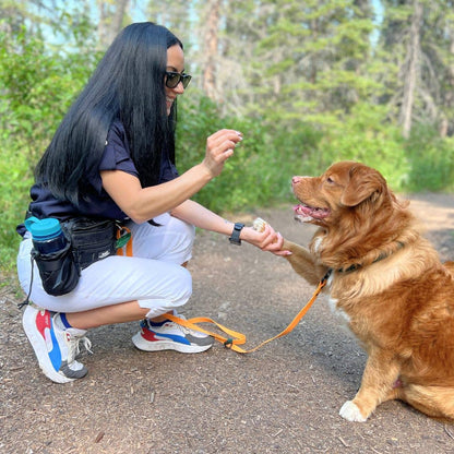 Sac banane utilitaire Aspen – promenade & aventure avec chien 🍁