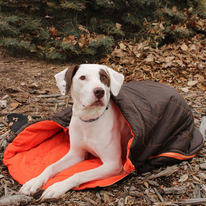 Sac de couchage compact imperméable pour chien – Alpha Pak