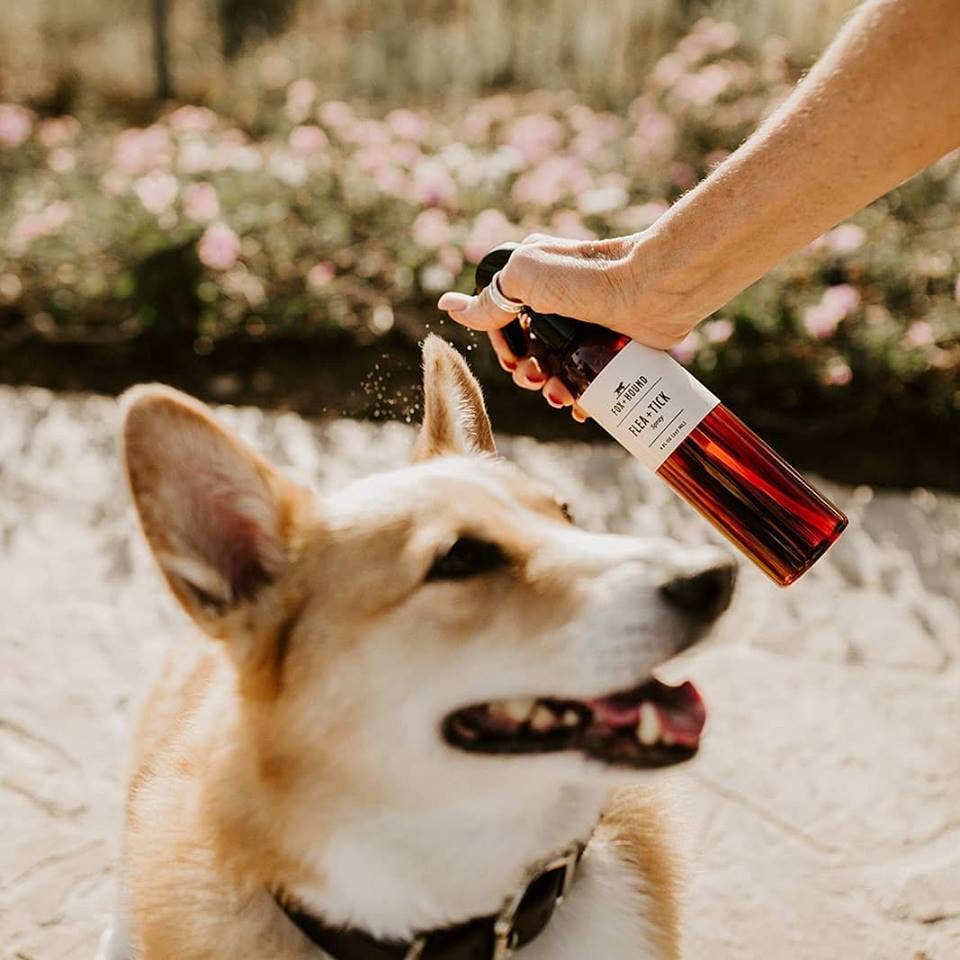 SPRAY ANTI-PUCES ET TIQUES POUR CHIENS, SPRAY ANTI-INSECTES NATUREL