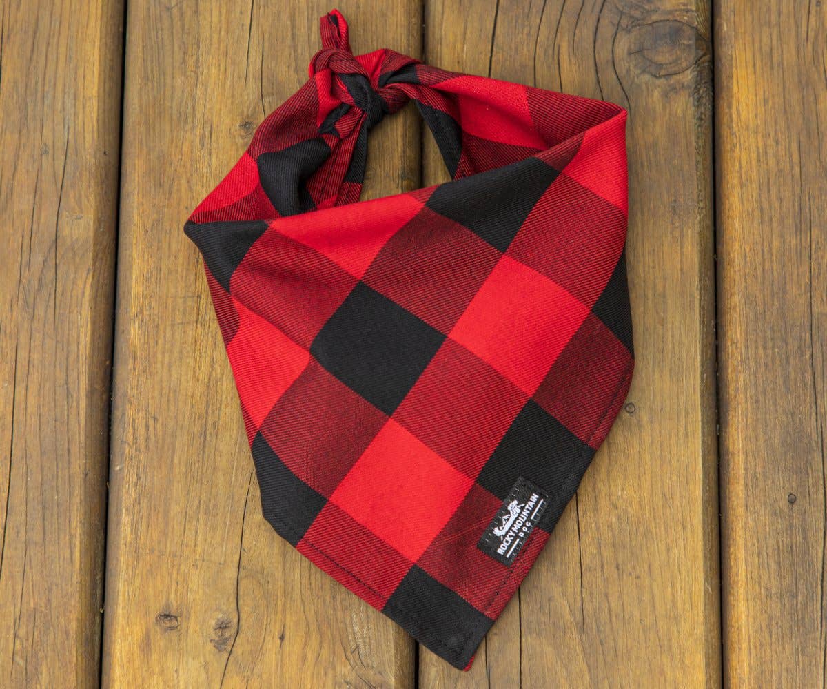 Bandana en flanelle 🍁