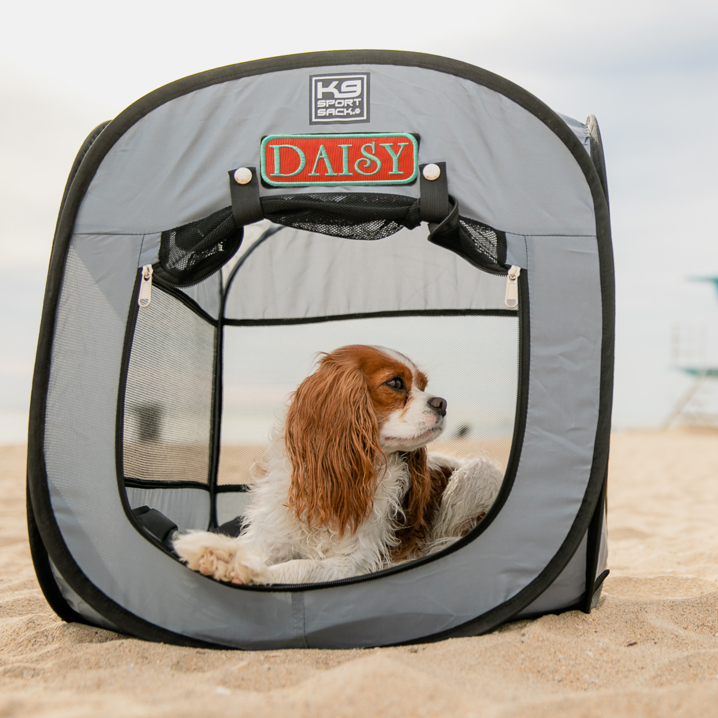Tente pour chien pop-up K9 Kennel