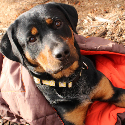 Sac de couchage compact imperméable pour chien – Alpha Pak