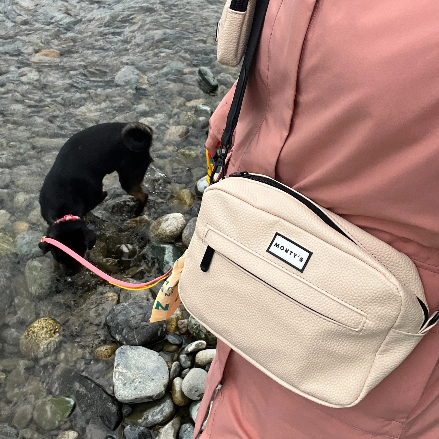Sac à bandoulière pour chien – pochette à friandises & distributeur intégré 🍁