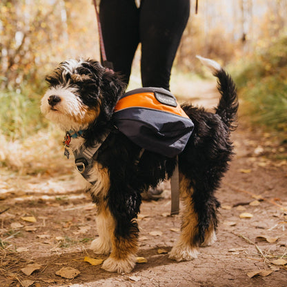 Sac à dos harnais pour chien Adventurer