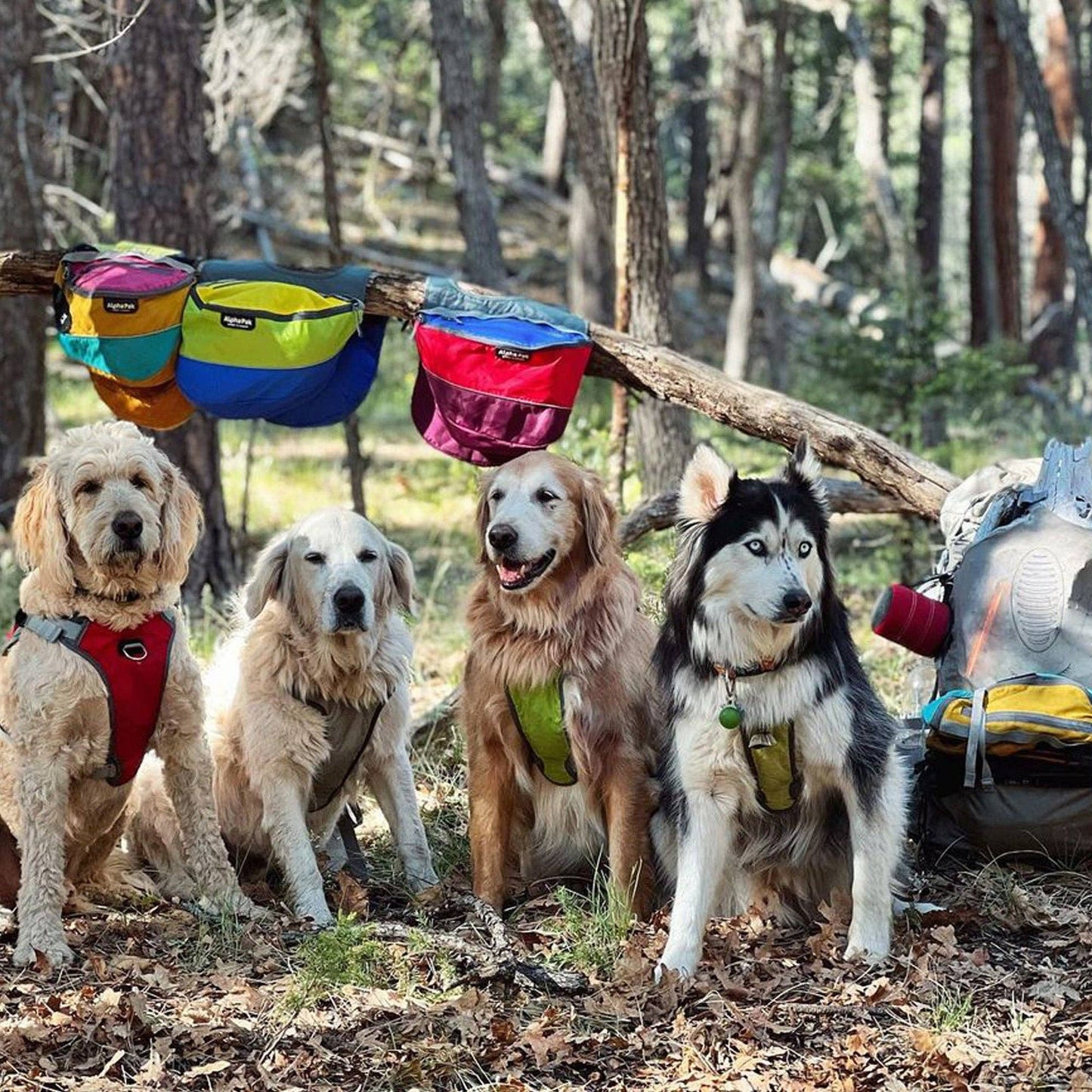 Sac à dos harnais pour chien Adventurer