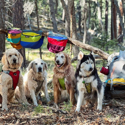 Sac à dos harnais pour chien Adventurer