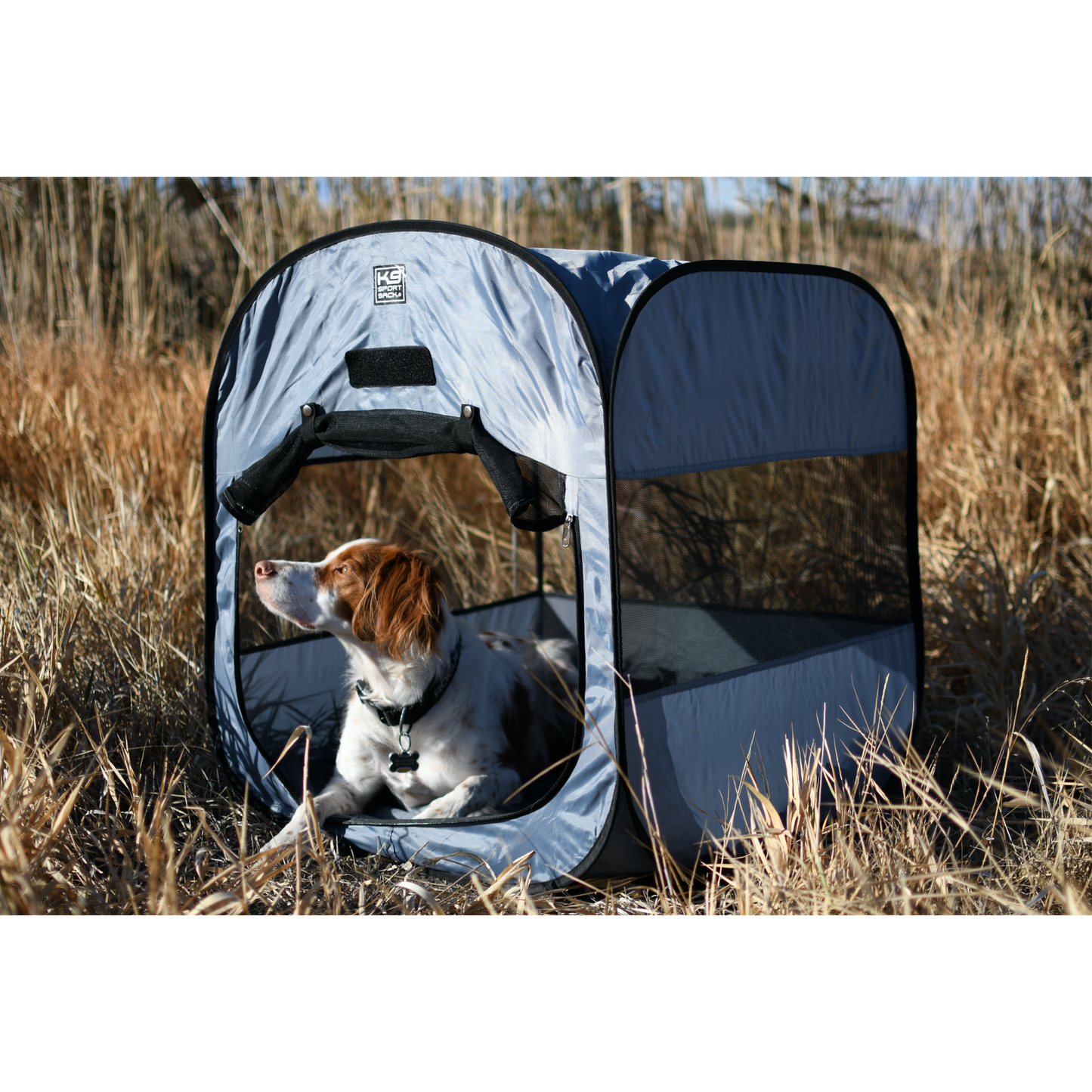 Tente pour chien pop-up K9 Kennel