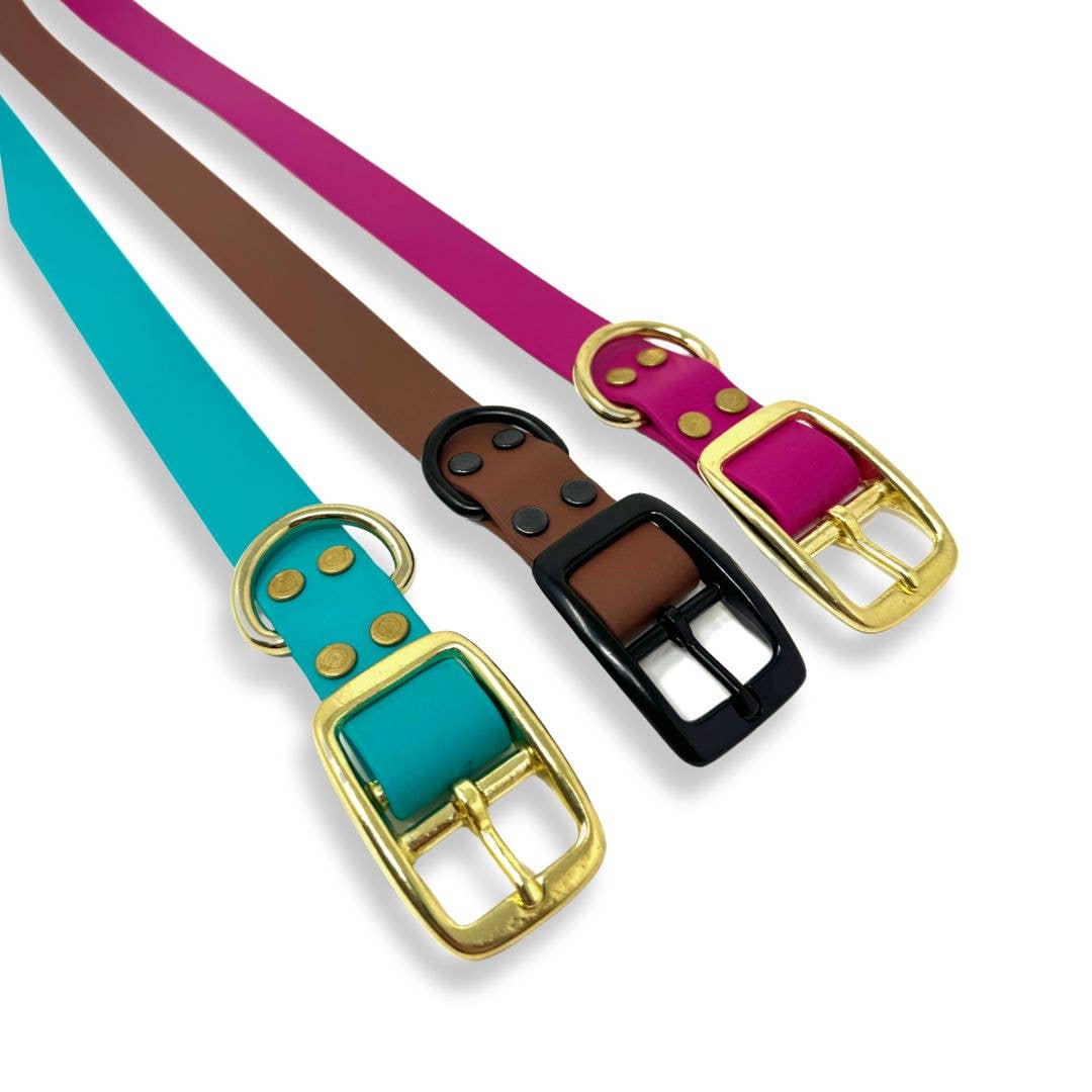 Duo collier et laisse en Biothane – ensemble durable et résistant 🍁
