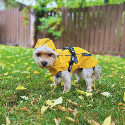Veste de pluie Tofino 🍁