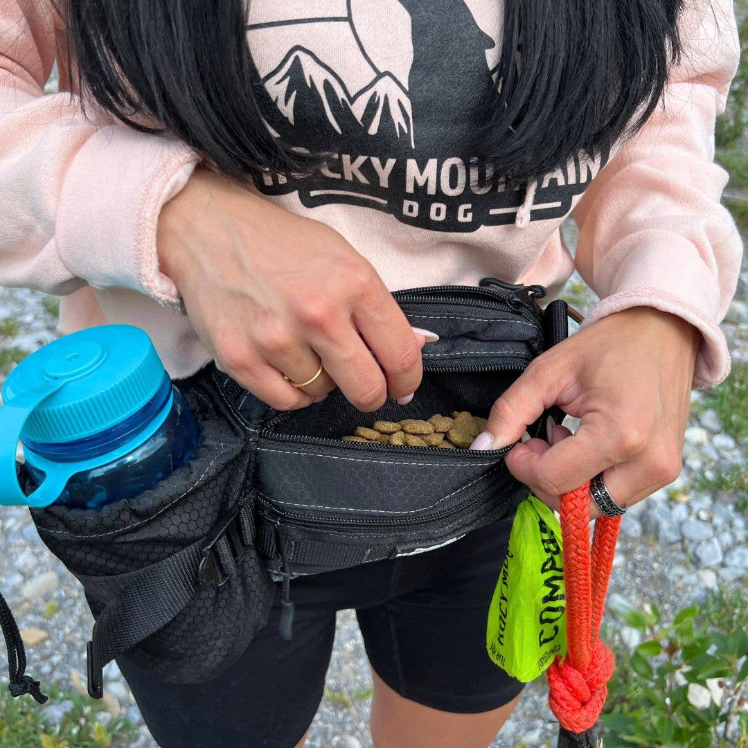 Sac banane utilitaire Aspen – promenade & aventure avec chien 🍁