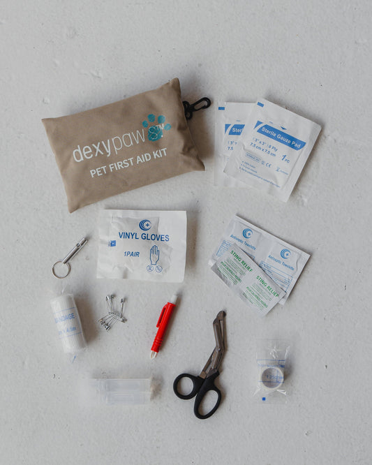 Trousse de premiers soins de voyage 24 pièces – Dexypaws 🍁