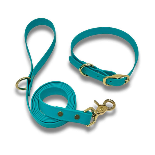 Duo collier et laisse en Biothane – ensemble durable et résistant 🍁