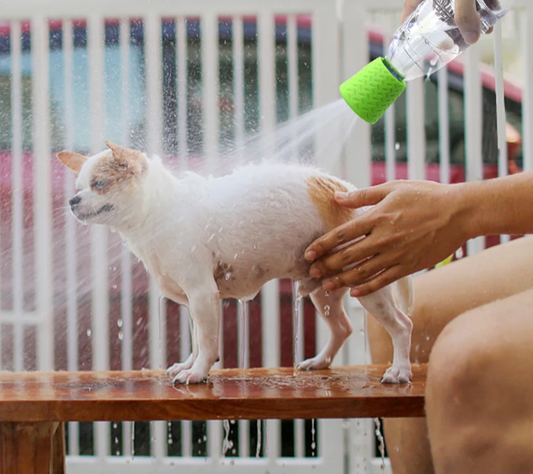 Embout d'arrosage - Douche